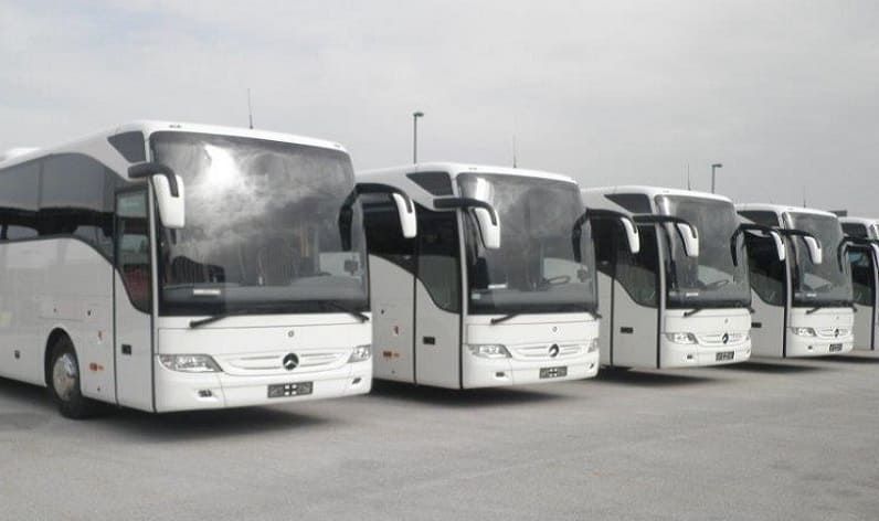 Montenegro: Bus company in Mrčevac in Mrčevac and Europe