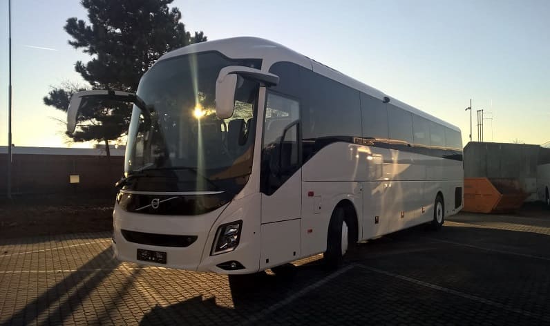 Campania: Bus hire in Cava de