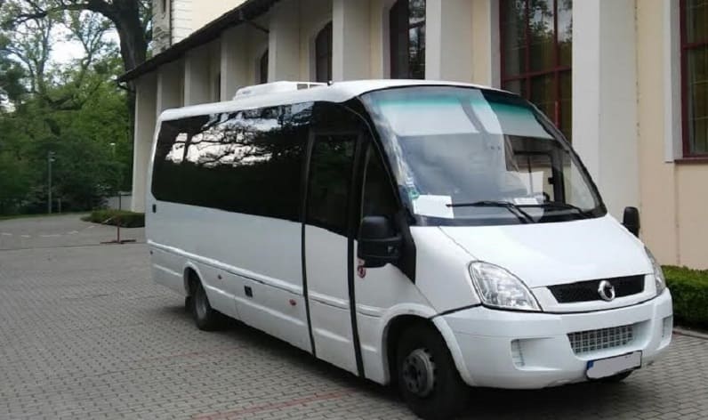 Montenegro: Bus order in Zelenika in Zelenika and Europe