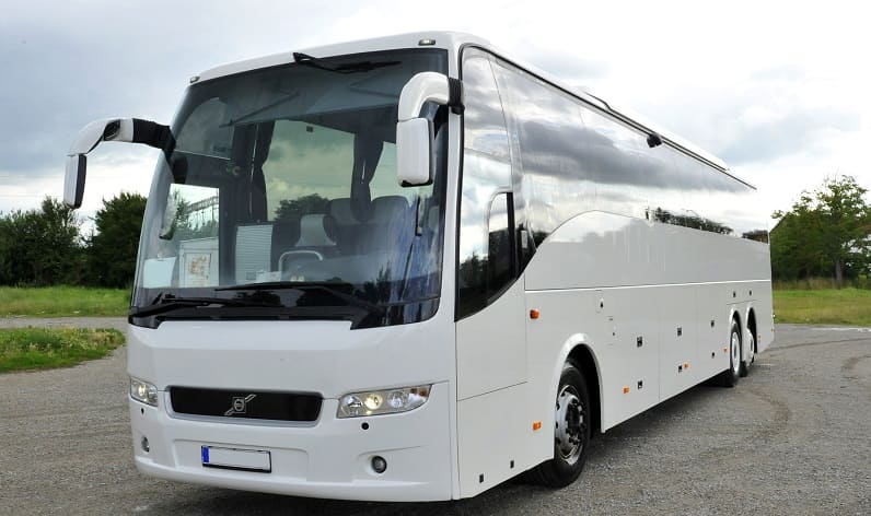 Apulia: Buses agency in Andria in Andria and Italy