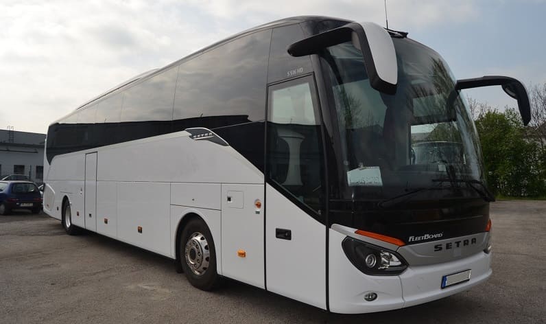 Montenegro: Buses company in Bijela in Bijela and Europe